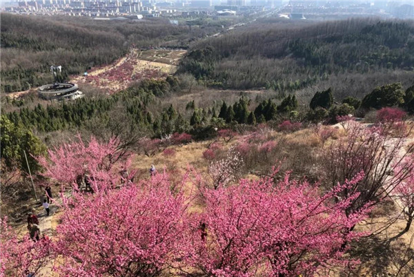 盤點淮南非遺之民間文學(xué)篇一：舜耕山傳奇