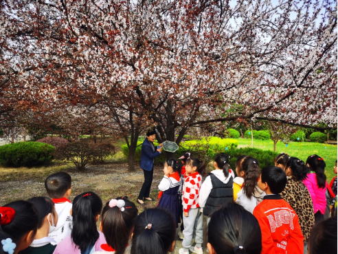 淮南師范附屬小學(xué)十九中校區(qū)開展校園尋春活動