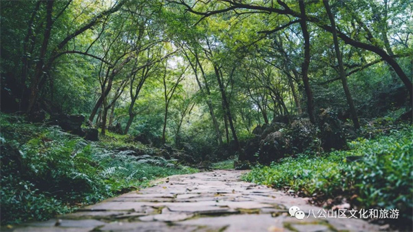 【圖說淮南】—— 早春徒步八公山，經(jīng)典路線推薦（下）