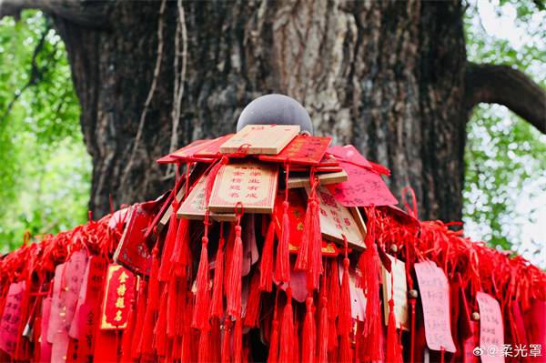 【圖說(shuō)淮南】——報(bào)恩禪寺