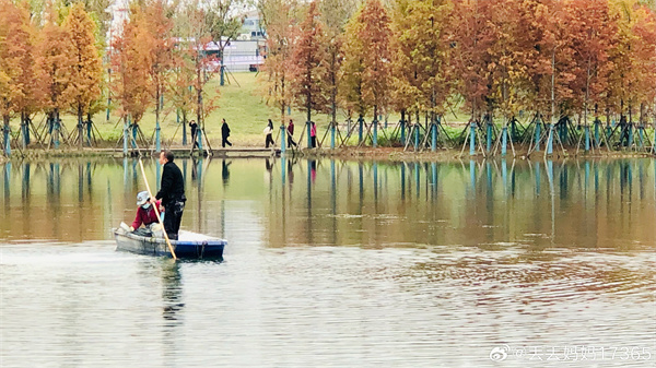 【圖說淮南】——蝶擁飛花關(guān)不住，接天喬木映杉紅