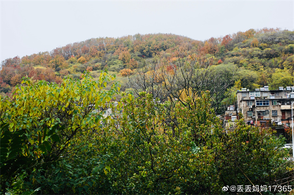 【圖說淮南】——走進(jìn)八公山 