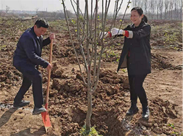 淮南市大通區(qū)紀委積極參與義務(wù)植樹活動